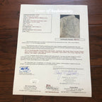 CHALLENGER STS-51L * JSA LOA * Autograph Crew Signed Jacket * 70 Astronauts