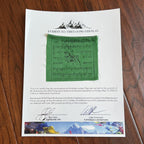 MOUNT EVEREST Genuine Prayer Flag ARTIFACT Carried to the Summit of MT 29029 FT