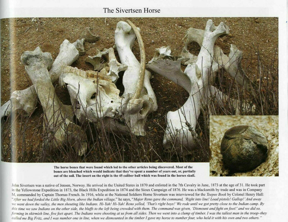 Battle of Little Bighorn * HORSE SKELETON Dug Artifact * Custer's Last Stand