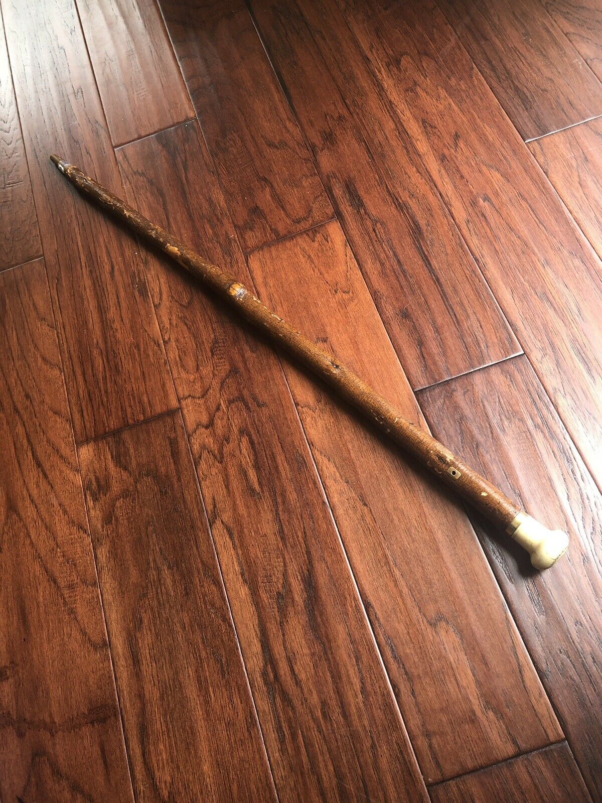 GEORGE WASHINGTON * Cane Crafted From a Mount Vernon Tree Planted By Washington