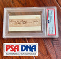 JAMES K. POLK * PSA Slab * Autograph Cut Signature Signed * President