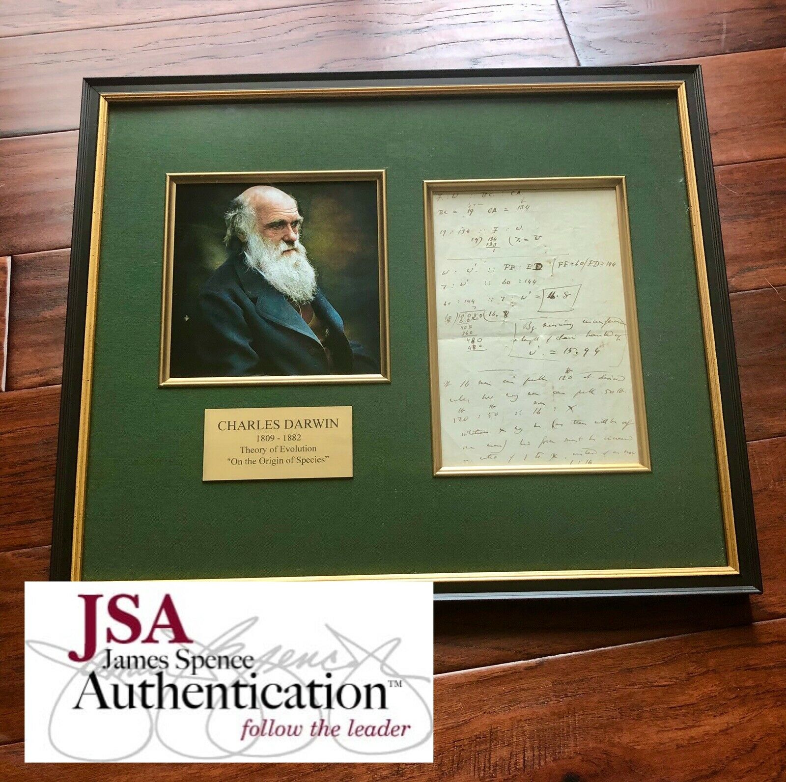CHARLES DARWIN * JSA * Handwritten Autograph Mathematical Equations * Not Signed