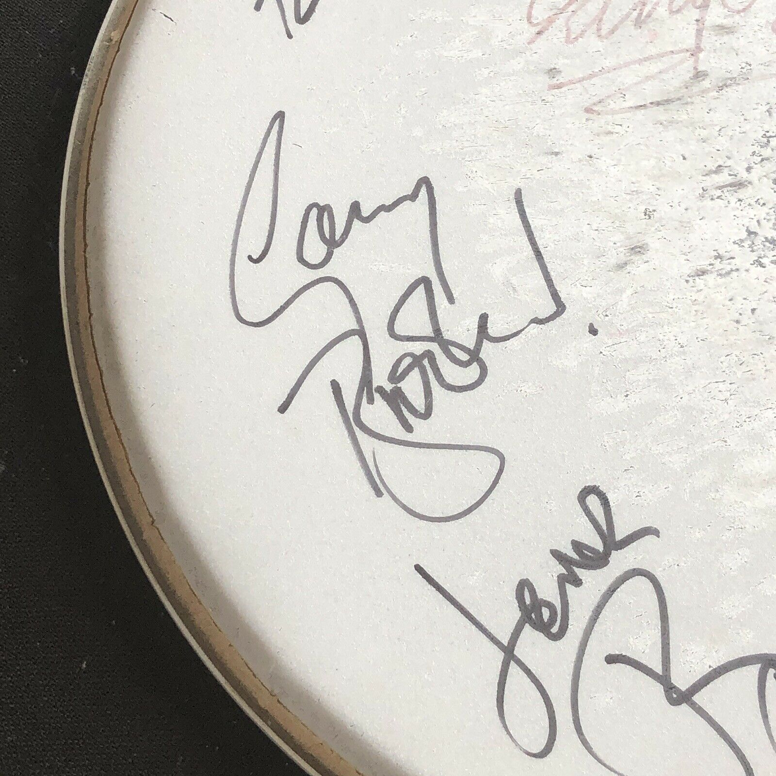 RINGO STARR & THE ALL STARR BAND * JSA LOA * Hand-Signed Remo Drumhead Autograph