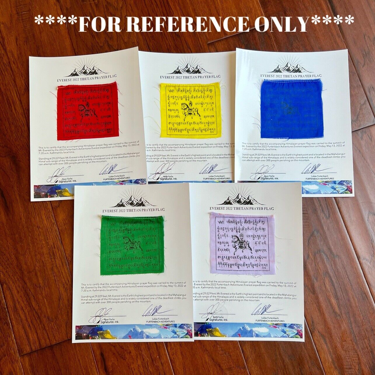 MOUNT EVEREST Genuine Prayer Flag ARTIFACT Carried to the Summit of MT 29029 FT