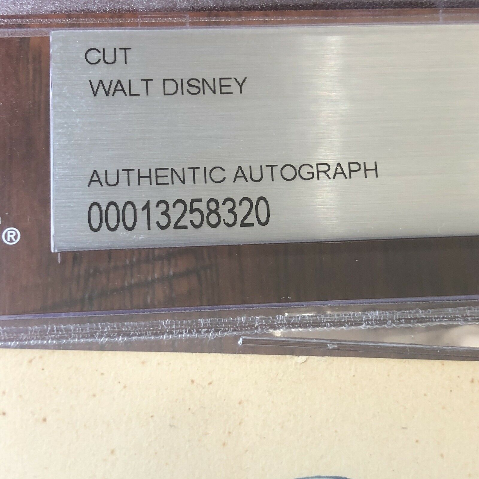 WALT DISNEY * Beckett BAS Slabbed * Large Autograph Cut Signature Signed *
