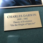 CHARLES DARWIN * JSA * Handwritten Autograph Mathematical Equations * Not Signed