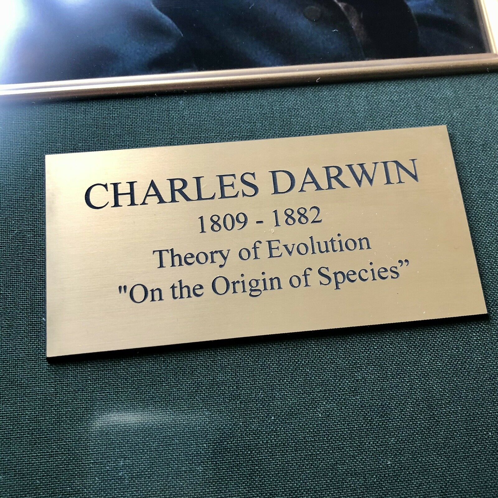 CHARLES DARWIN * JSA * Handwritten Autograph Mathematical Equations * Not Signed
