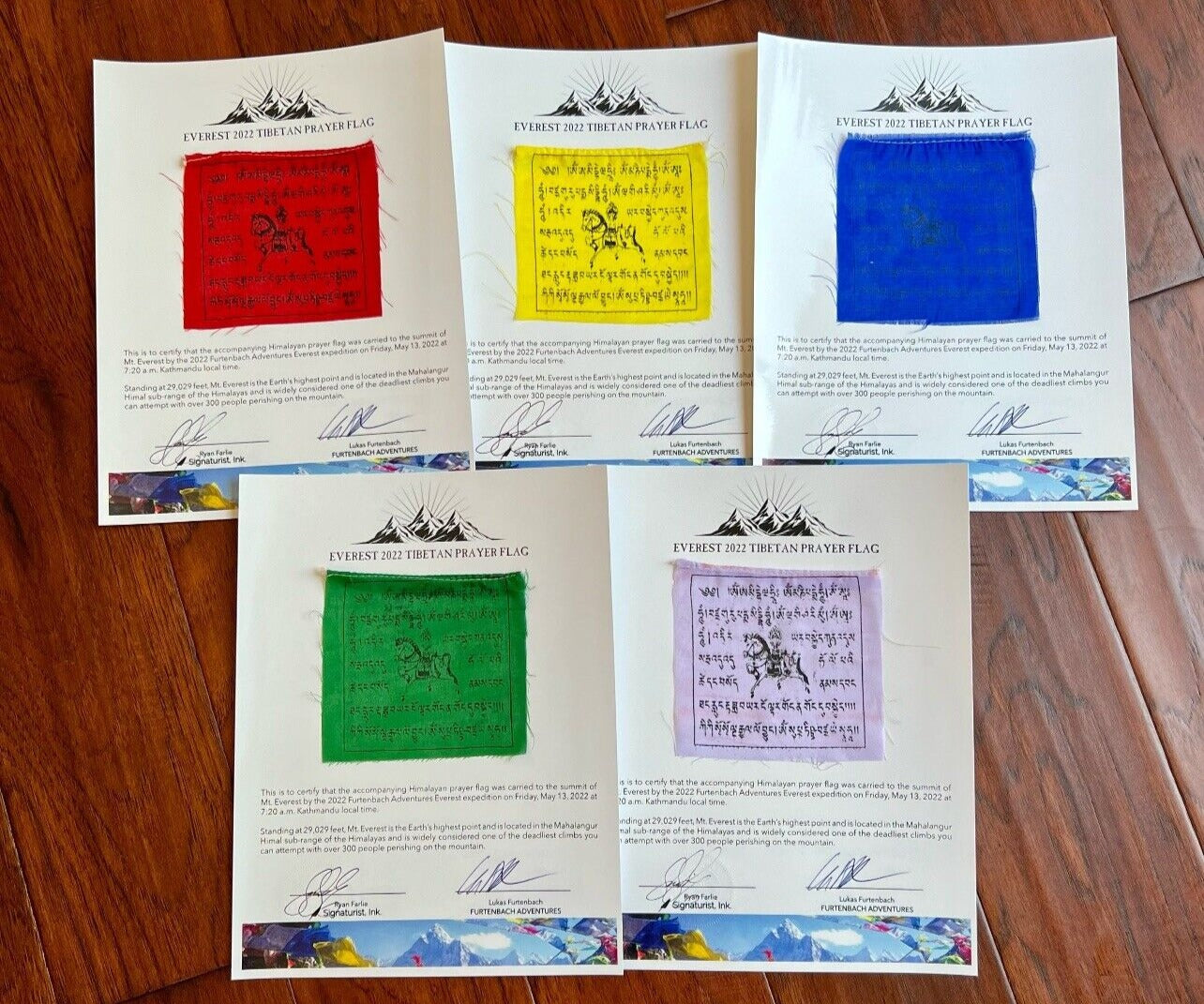 MOUNT EVEREST * Genuine Flags Carried to Summit at 29029 FT