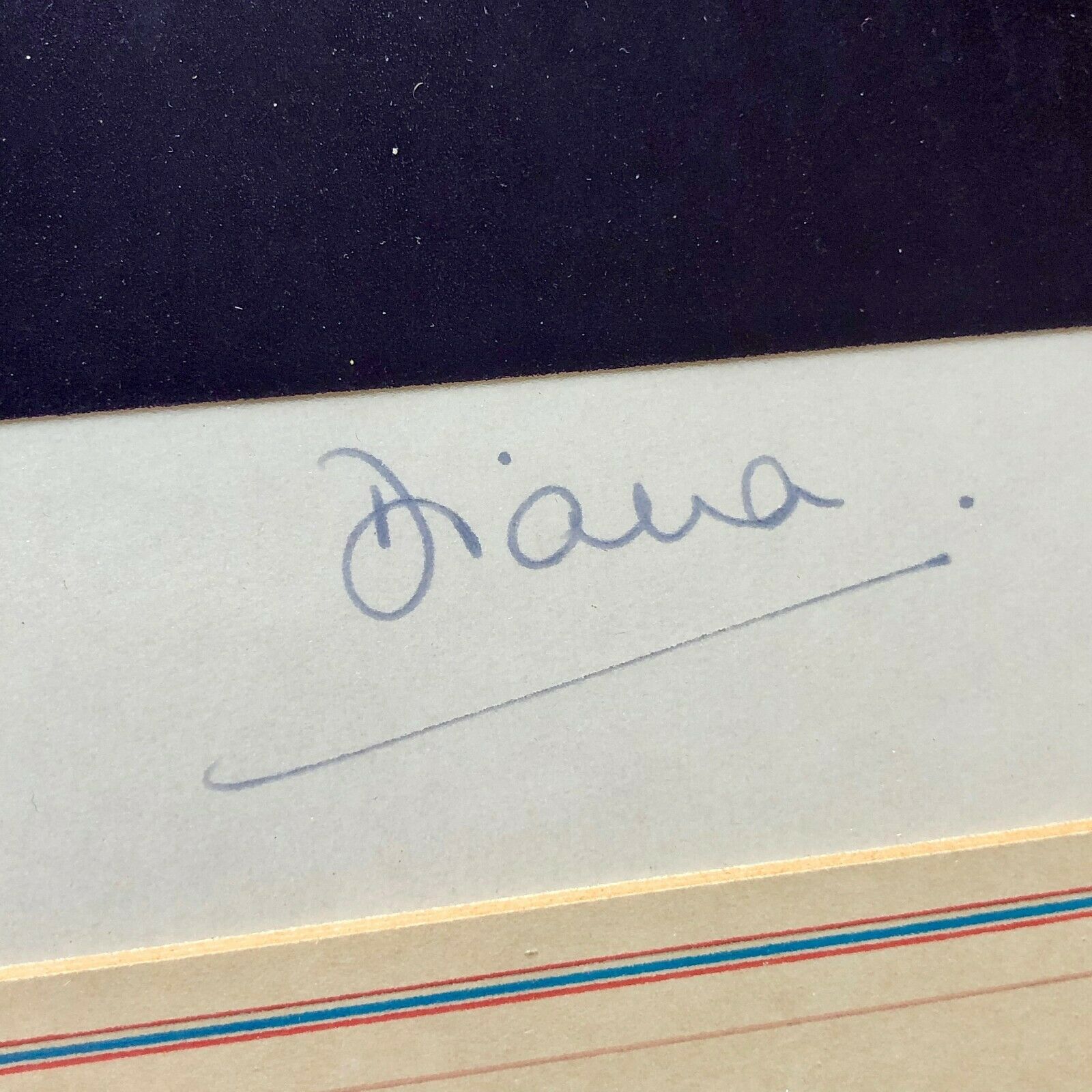 PRINCESS DIANA * PSA * AUTOGRAPH Snowdon Royal Portrait SIGNED * with Her PEN!