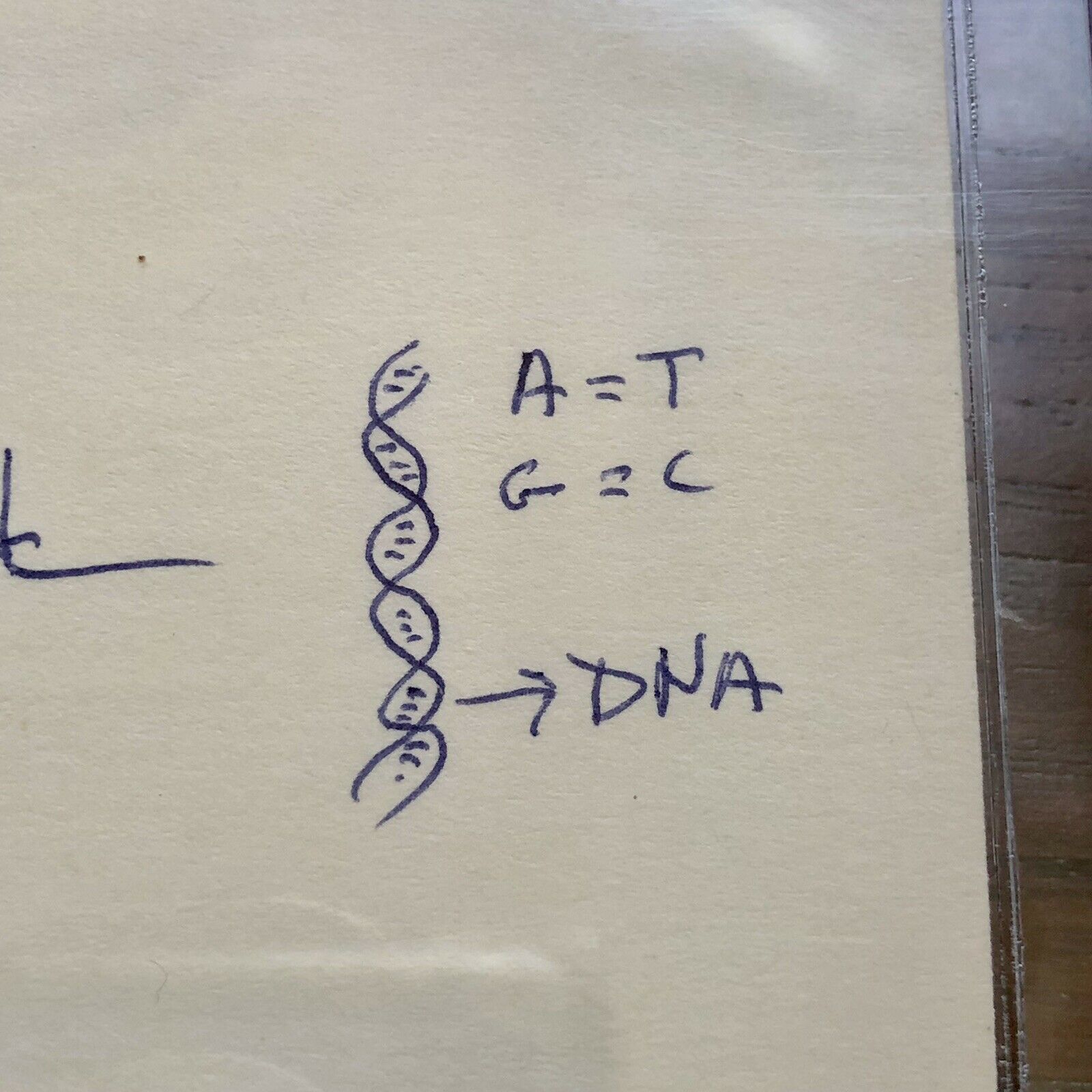 JAMES D. WATSON * BAS Beckett Slabbed 9 * Autograph DNA Sketch Signed Index Card