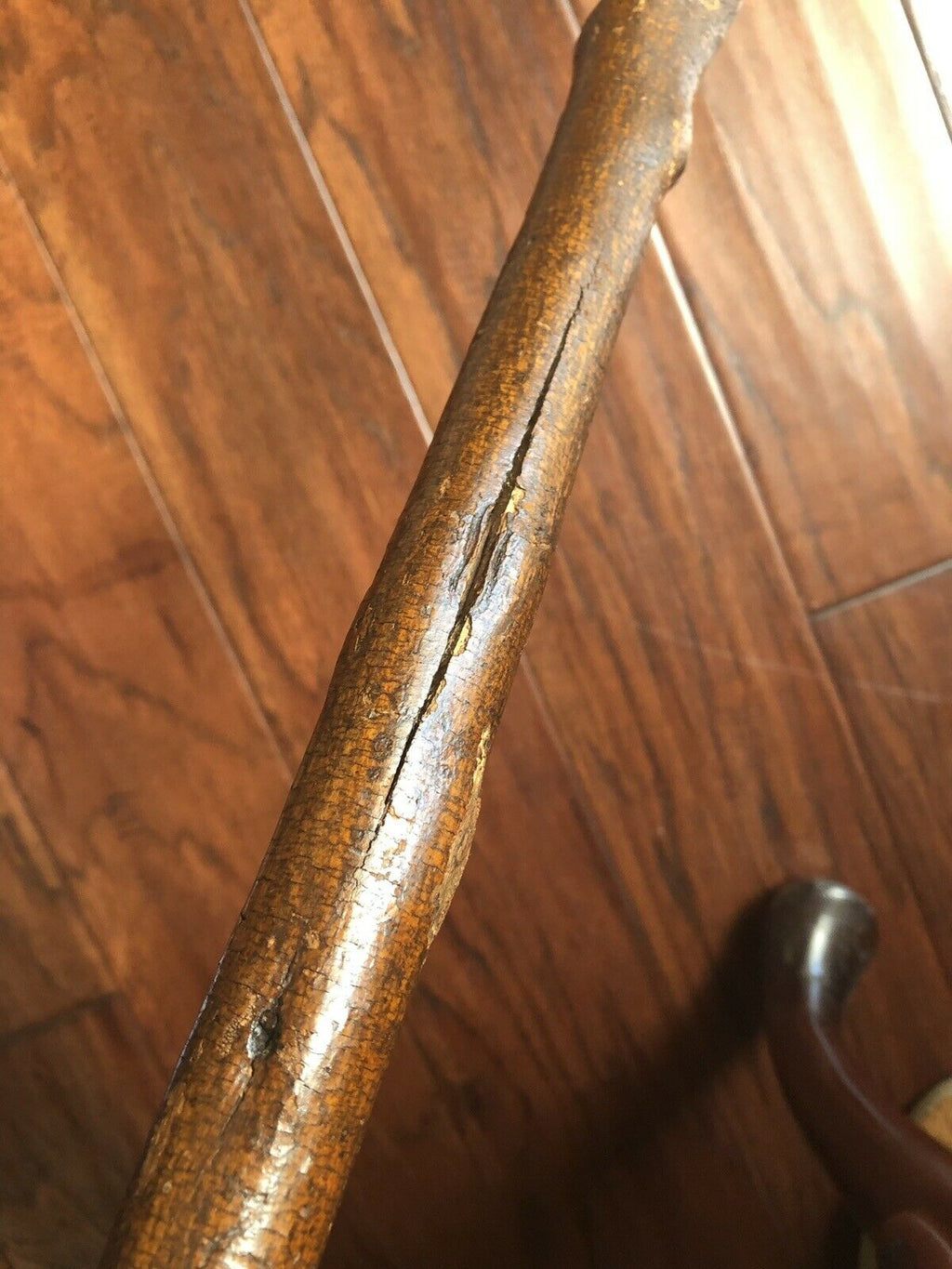 GEORGE WASHINGTON * Cane Crafted From a Mount Vernon Tree Planted By Washington