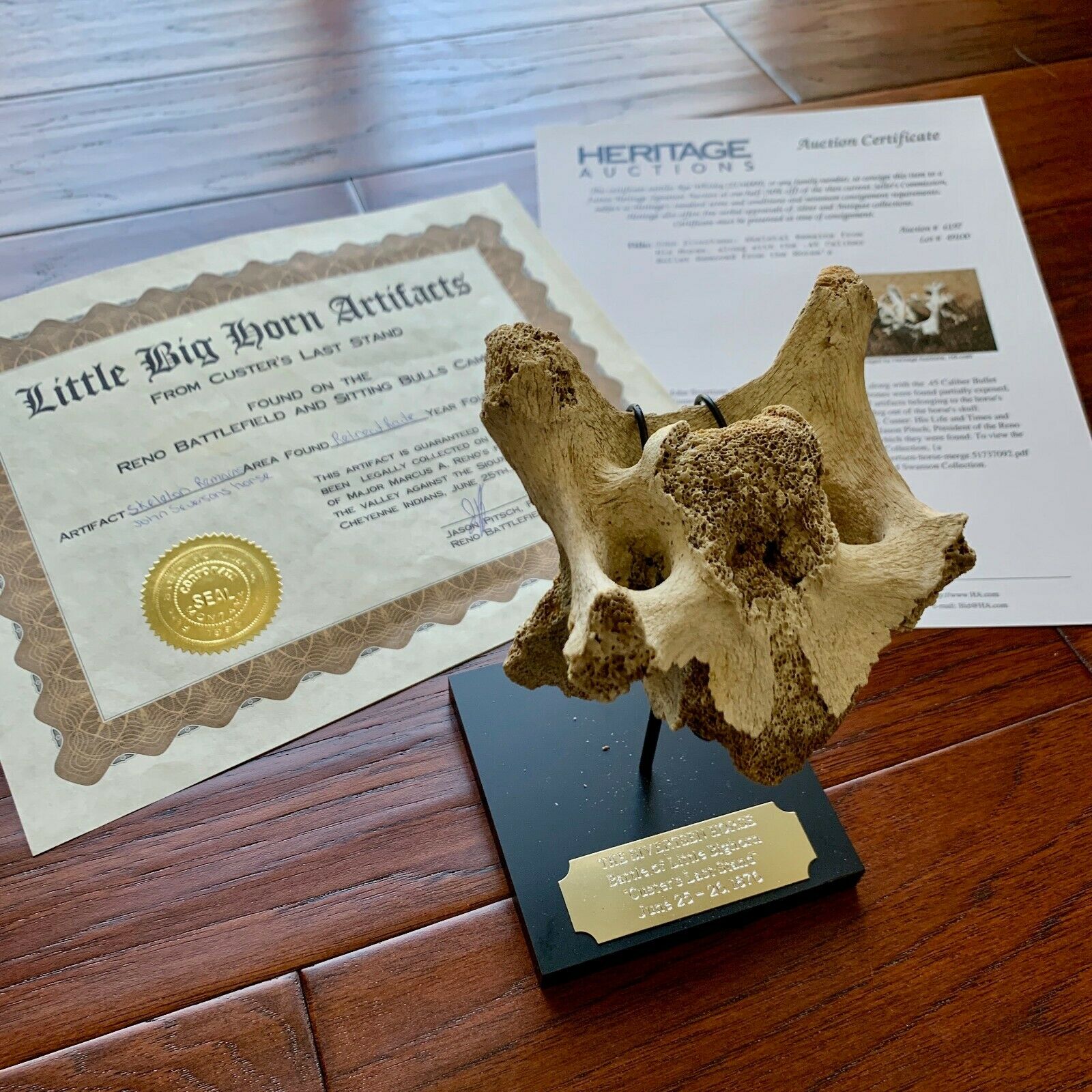 Battle of Little Bighorn * HORSE SKELETON Dug Artifact * Custer's Last Stand