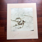 EDWARD H WHITE * JSA * Gemini IV Space Walk AUTOGRAPH Photo SIGNED * McDIVITT