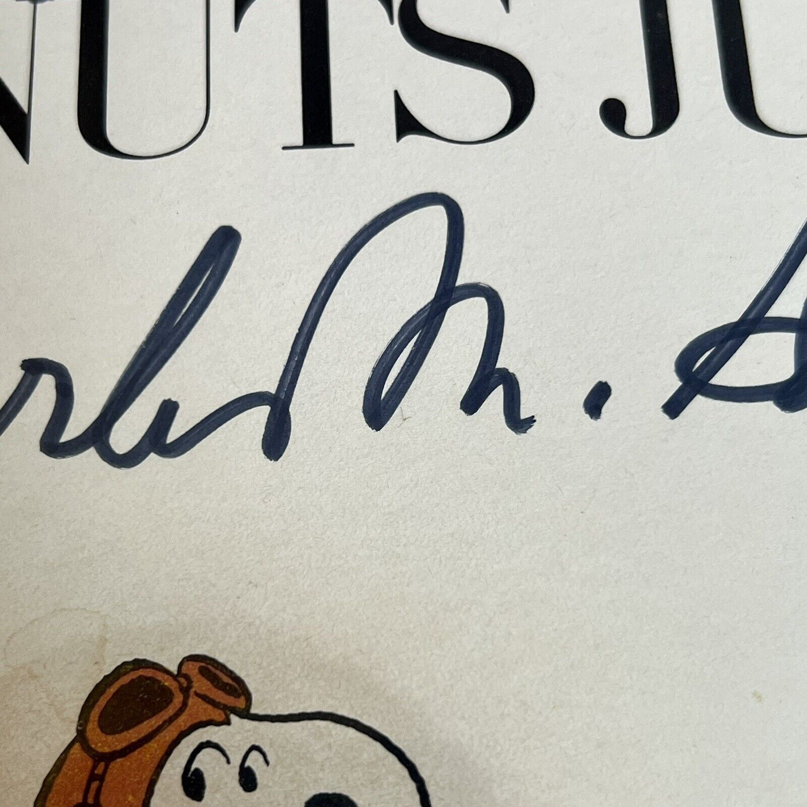 CHARLES M. SCHULZ * Beckett * AUTOGRAPH Drawing SNOOPY Woodstock Signed Sketch *