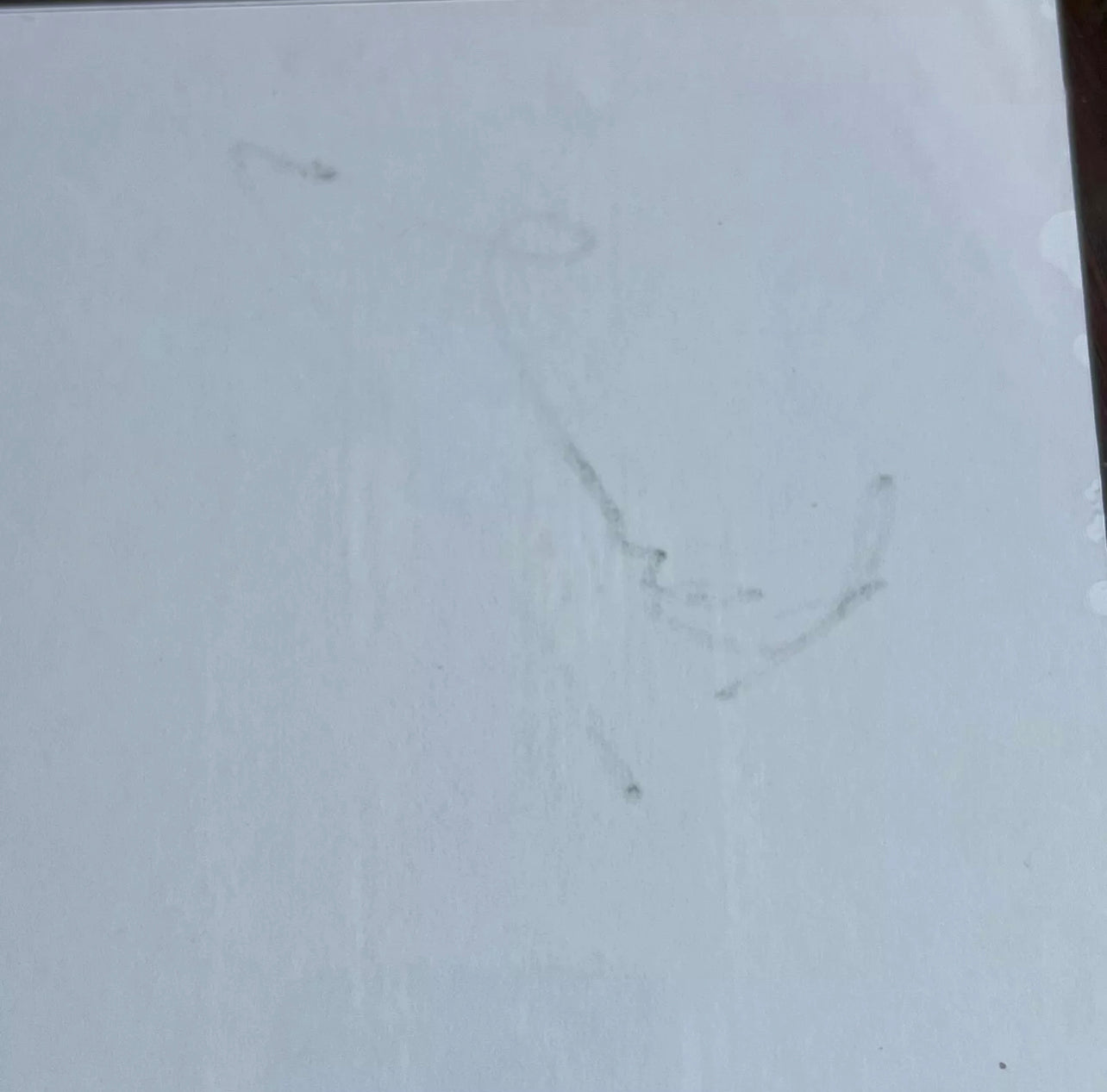 PAUL MCCARTNEY * PSA/DNA * "Yesterday" Song Autograph Souvenir Signed * Beatles