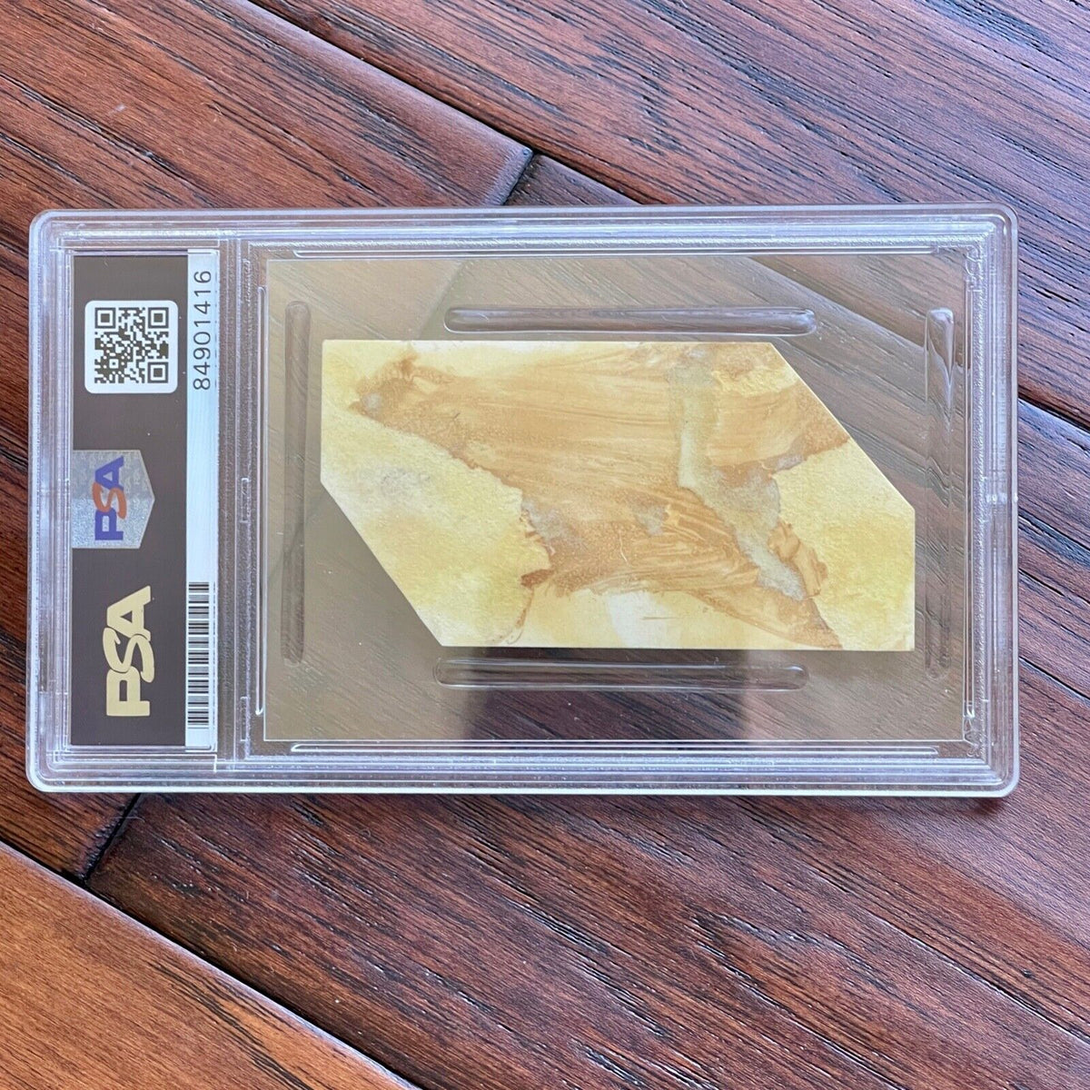 GROVER CLEVELAND * PSA/DNA Slabbed * AUTOGRAPH Cut Signature SIGNED * 1903