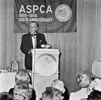 WALT DISNEY * Beckett BAS * Huge 5.5” ASPCA Autograph Cut Signed * UNINSCRIBED
