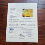 ELVIS PRESLEY * JSA & EPPERSON COA * Signed XXL Concert Poster Autograph Display